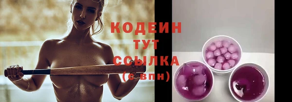 твердый Сясьстрой